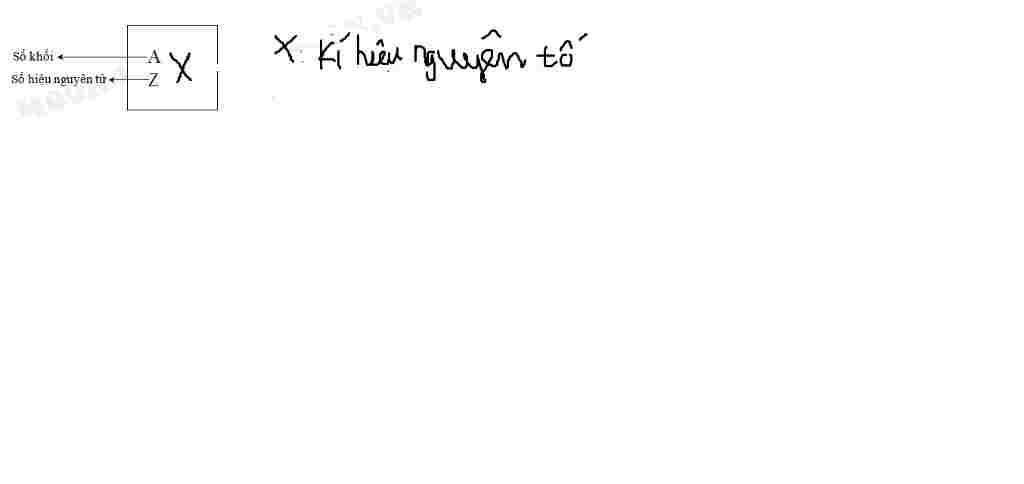 hoa-hoc-lop-10-tong-so-hat-trong-ngtu-la-28-trong-do-so-hat-mang-dien-nhieu-hon-so-hat-khong-man