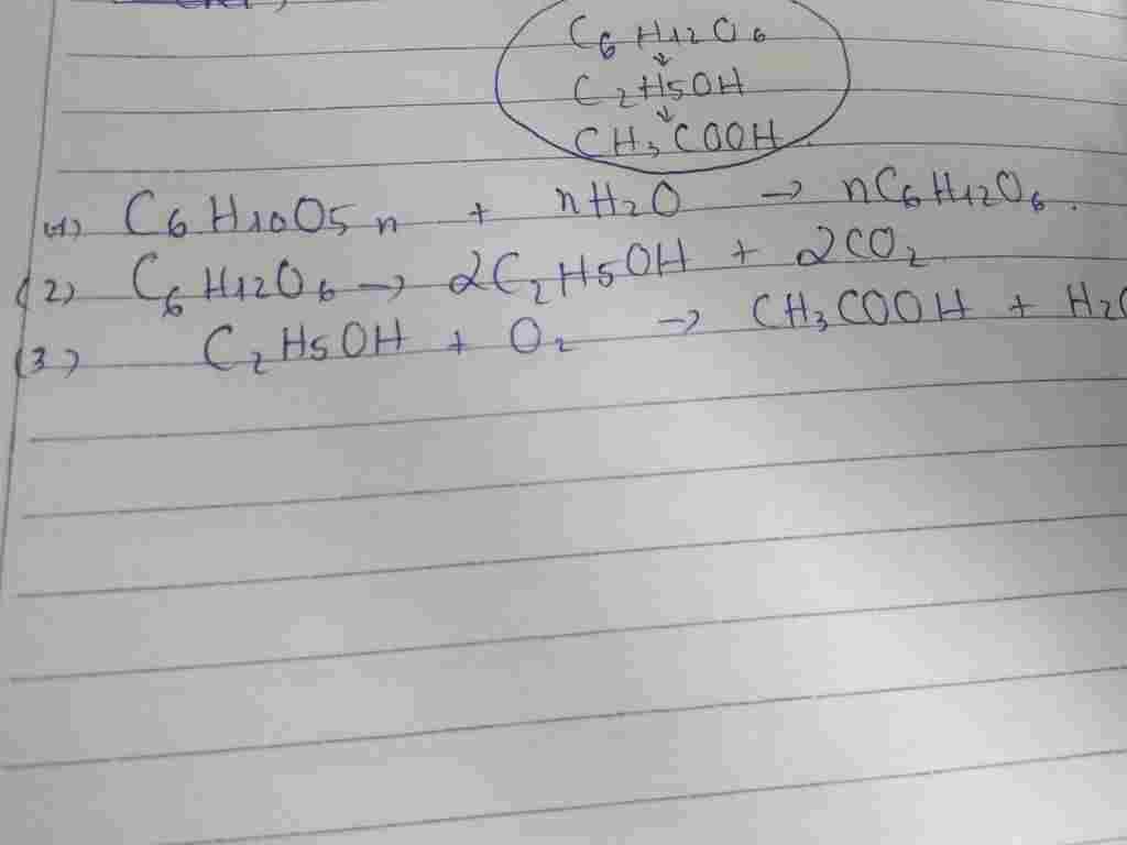 hoa-hoc-lop-10-viet-phan-ung-hoa-hoc-c6h10o5-n-tao-ra-c6h12o6-tao-ra-c2h5oh-tao-ra-ch3cooh-giup