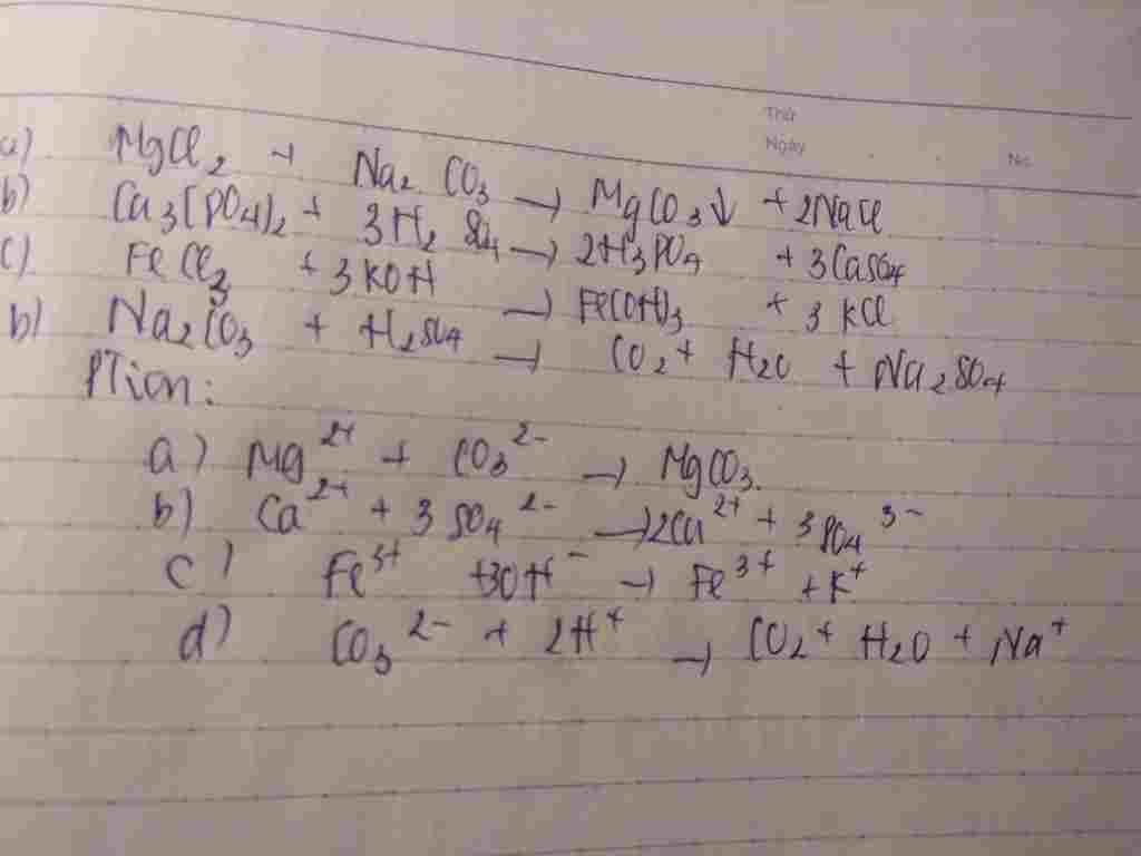 hoa-hoc-lop-10-viet-pt-phan-tu-va-ion-rut-gon-cho-cac-phan-ung-theo-so-do-sau-a-mgcl2-mgco3-b-ca