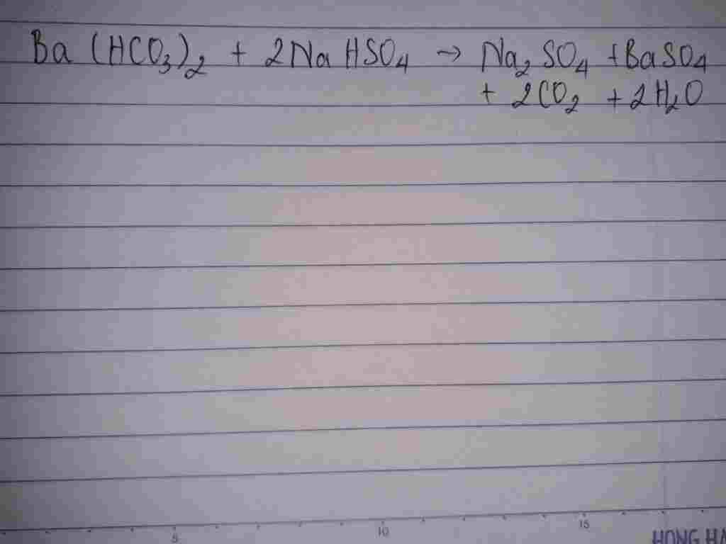 hoa-hoc-lop-11-ba-hco3-2-co-tac-dung-voi-nahso4-ko-a-vi-sao