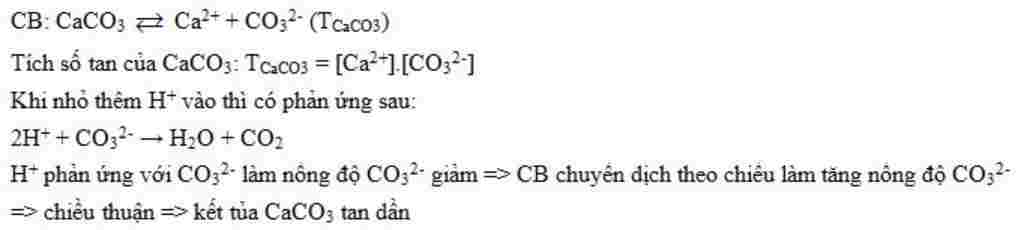 hoa-hoc-lop-11-khi-nho-dung-dich-hcl-vao-ket-tua-caco3-ket-tua-ra-sao-giai-thich-dua-vao-tich-so