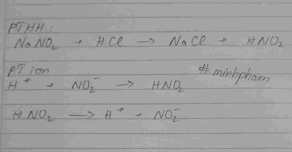 hoa-hoc-lop-11-viet-pt-ion-rut-gon-cua-nano2-hcl