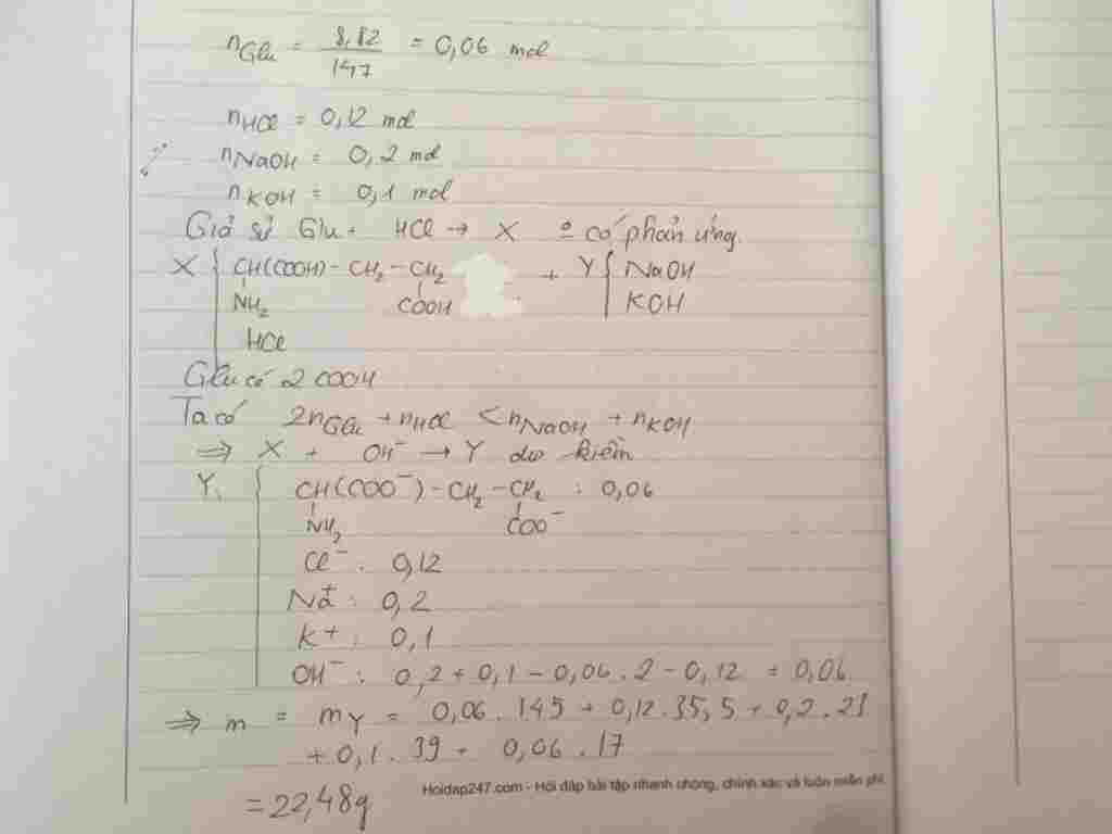 hoa-hoc-lop-12-cho-8-82-gam-ait-glutamic-vao-120ml-dung-dich-hcl-1-0m-thu-duoc-dung-dich-them-ti