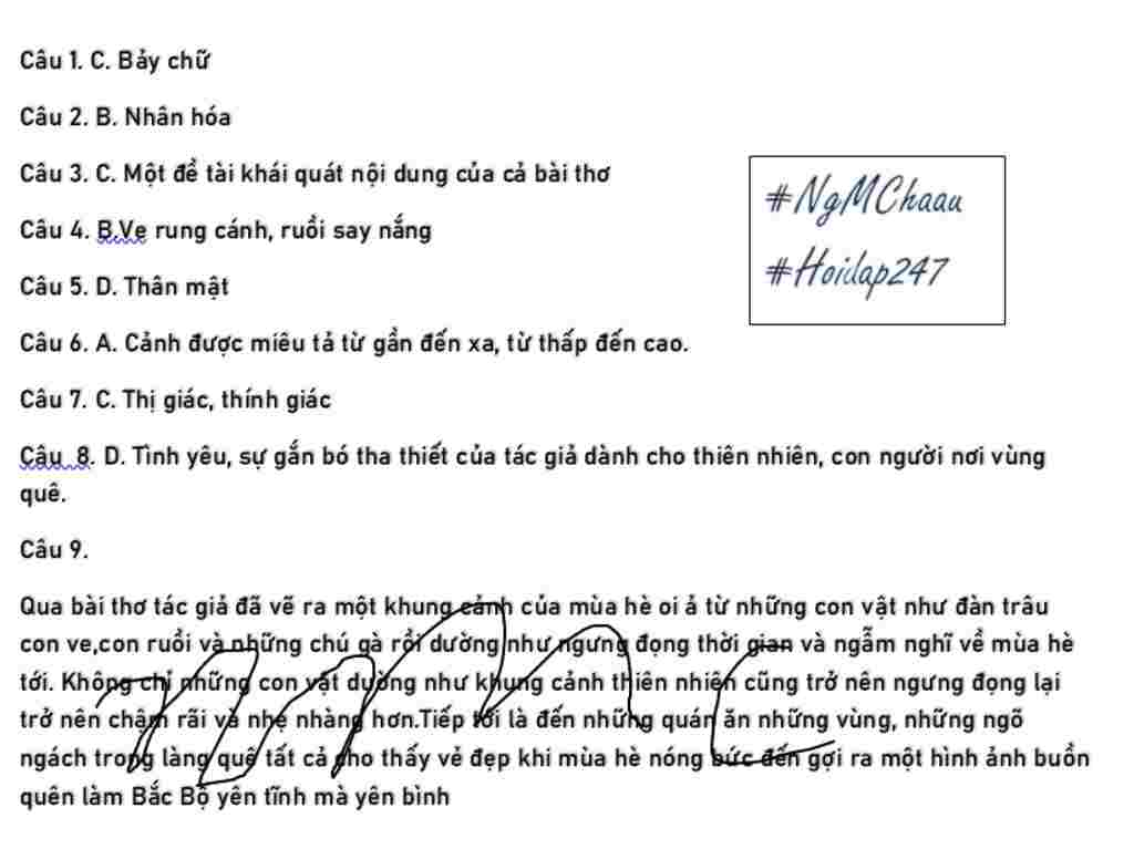 ngu-van-lop-8-ii-doc-hieu-duoi-goc-da-gia-trong-vung-bong-nam-mat-dan-trau-ngam-nghi-nhai-ve-ve