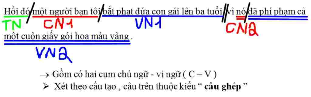 ngu-van-lop-9-phan-i-doc-hieu-van-ban-2-0-diem-doc-van-ban-sau-va-thuc-hien-cac-yeu-cau-tu-cau-1