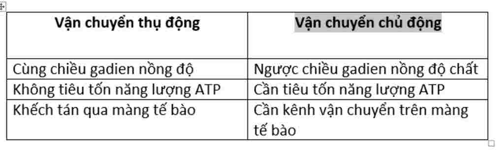 sinh-hoc-lop-10-trong-co-the-dong-vat-khi-o2-co2-glucozo-ion-na-k-duoc-van-chuyen-qua-mang-sinh