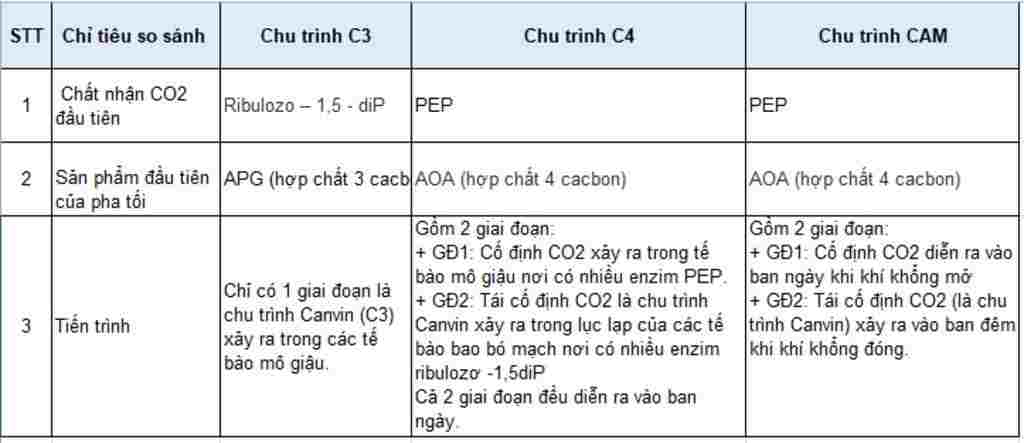 sinh-hoc-lop-11-phan-biet-qua-trinh-quang-hop-o-3-nhom-thuc-vat-c3-c4-cam