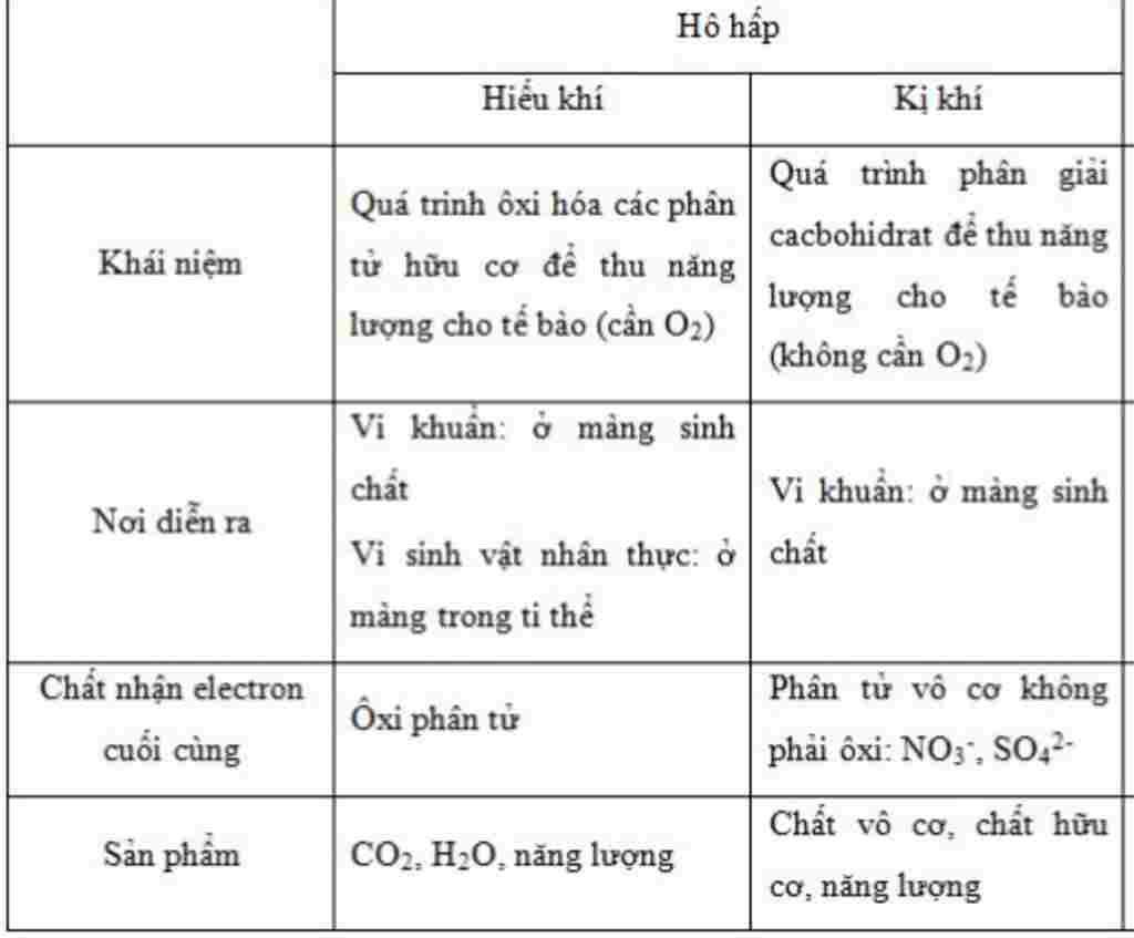 sinh-hoc-lop-11-so-sanh-phan-giai-ki-khi-va-phan-giai-hieu-khi-lap-bang-dieu-kien-nguyen-lieu-co