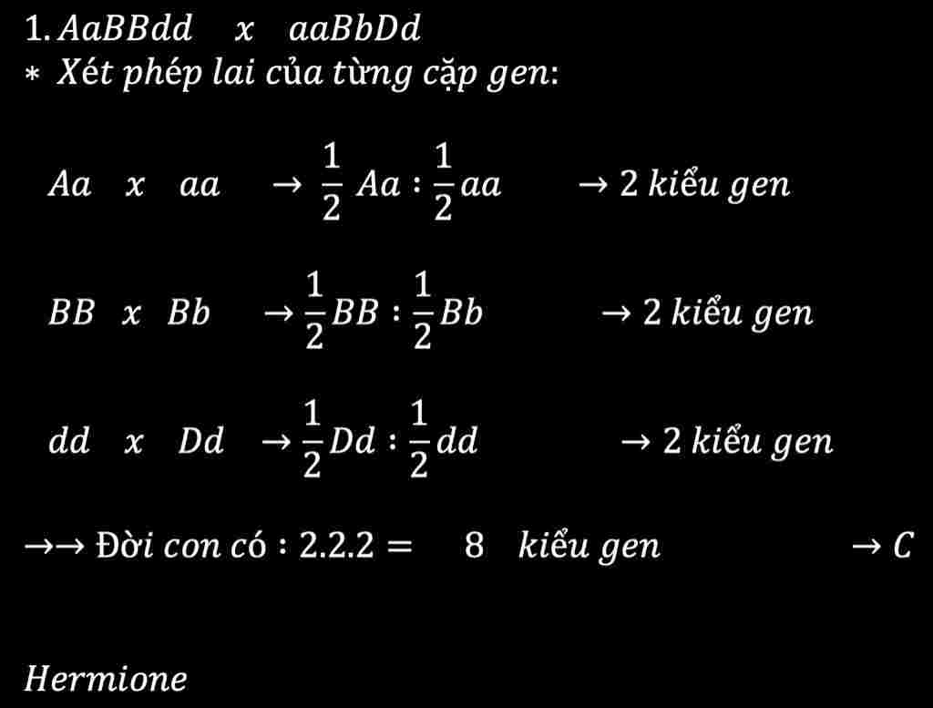 sinh-hoc-lop-12-1-phep-lai-aabbdd-aabbdd-co-bao-nhieu-kieu-gen-o-doi-con-a-24-b-36-c-8-d-16-2-ca