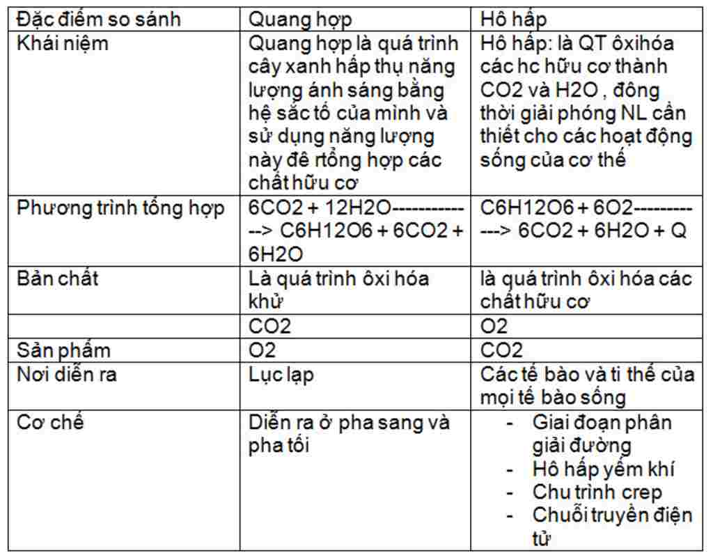 sinh-hoc-lop-6-so-sanh-su-khac-nhau-va-giong-nhau-giua-qua-trinh-ho-hap-va-quang-hop