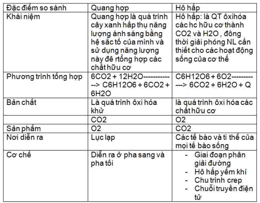 sinh-hoc-lop-6-so-sanh-su-khac-nhau-va-giong-nhau-giua-qua-trinh-ho-hap-va-quang-hop