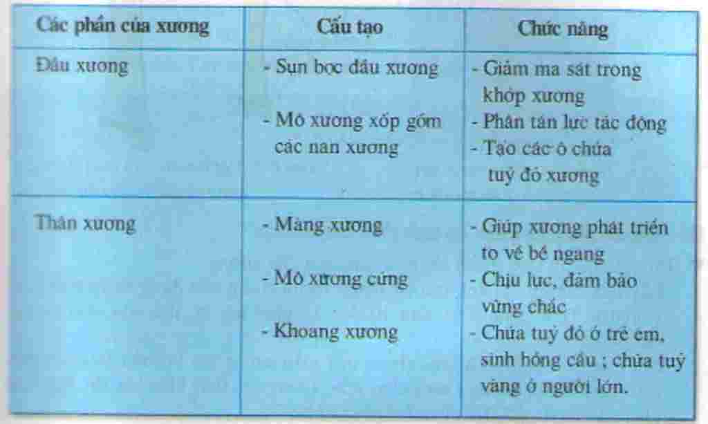 sinh-hoc-lop-8-trinh-bay-cau-tao-va-chuc-nang-cua-uong-dai-su-dai-va-to-ra-cua-uong