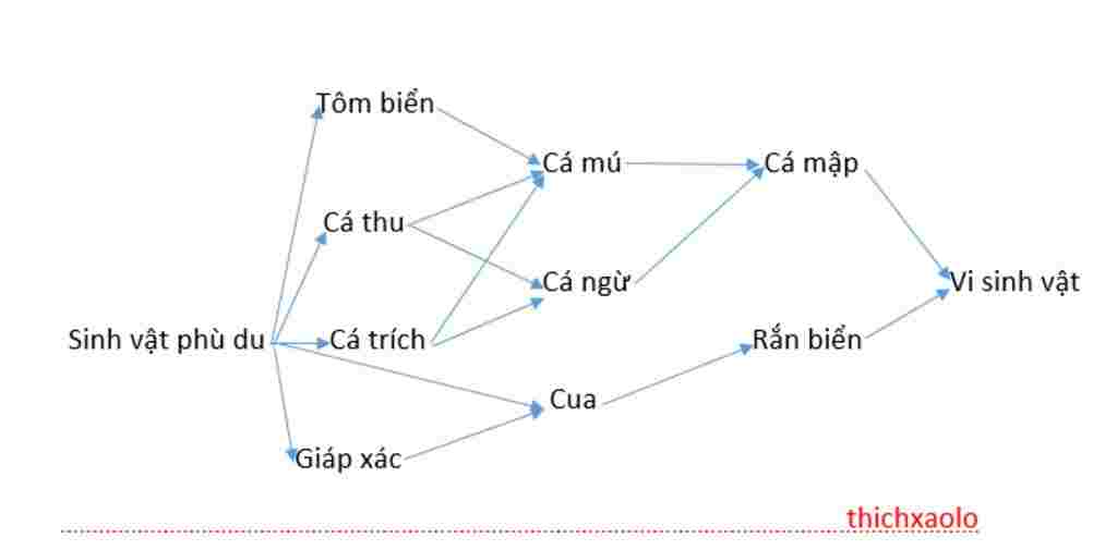 sinh-hoc-lop-9-hay-ay-dung-5-chuoi-thuc-an-trong-he-sinh-thai-bien-moi-chuoi-thuc-an-co-tu-5-bac