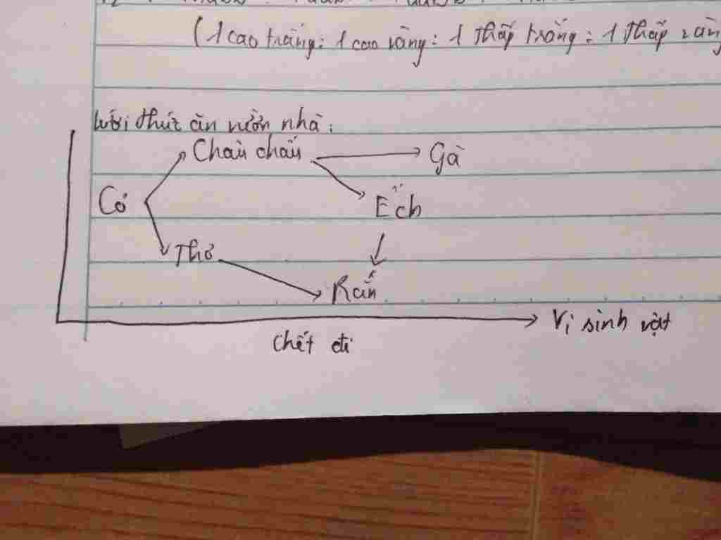 sinh-hoc-lop-9-hay-ve-so-do-luoi-thuc-an-voi-cac-sinh-vat-voi-cac-sinh-vat-co-trong-vuon-nha-em