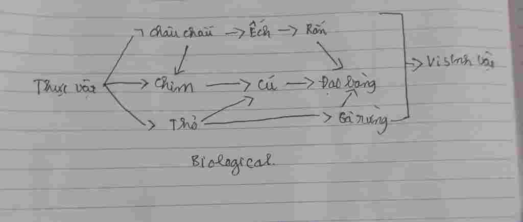 sinh-hoc-lop-9-hay-viet-3-chuoi-thuc-an-va-luoi-thuc-an-hoan-chinh-co-mat-ich-chung-la-tho-can-g