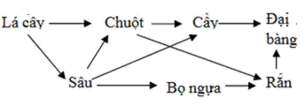 sinh-hoc-lop-9-khai-niem-chuoi-thuc-an-va-luoi-thuc-an-cho-vi-du-minh-hoa