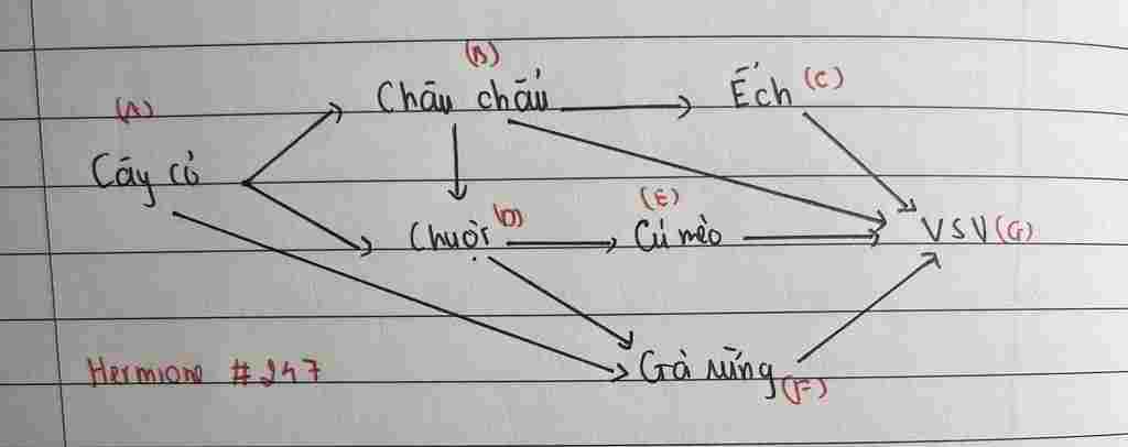 sinh-hoc-lop-9-mat-ich-chung-la-gi-ac-dinh-mac-ich-chung-cho-vd