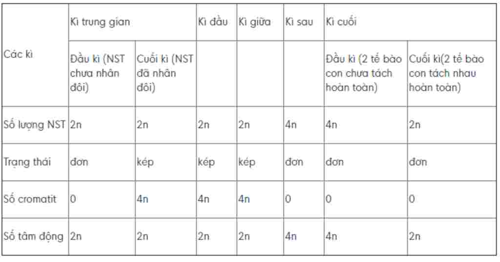 sinh-hoc-lop-9-neu-dien-bien-cac-ki-nguyen-phan-giam-phan-tinh-so-nhiem-sac-the-so-tam-dong-so-c