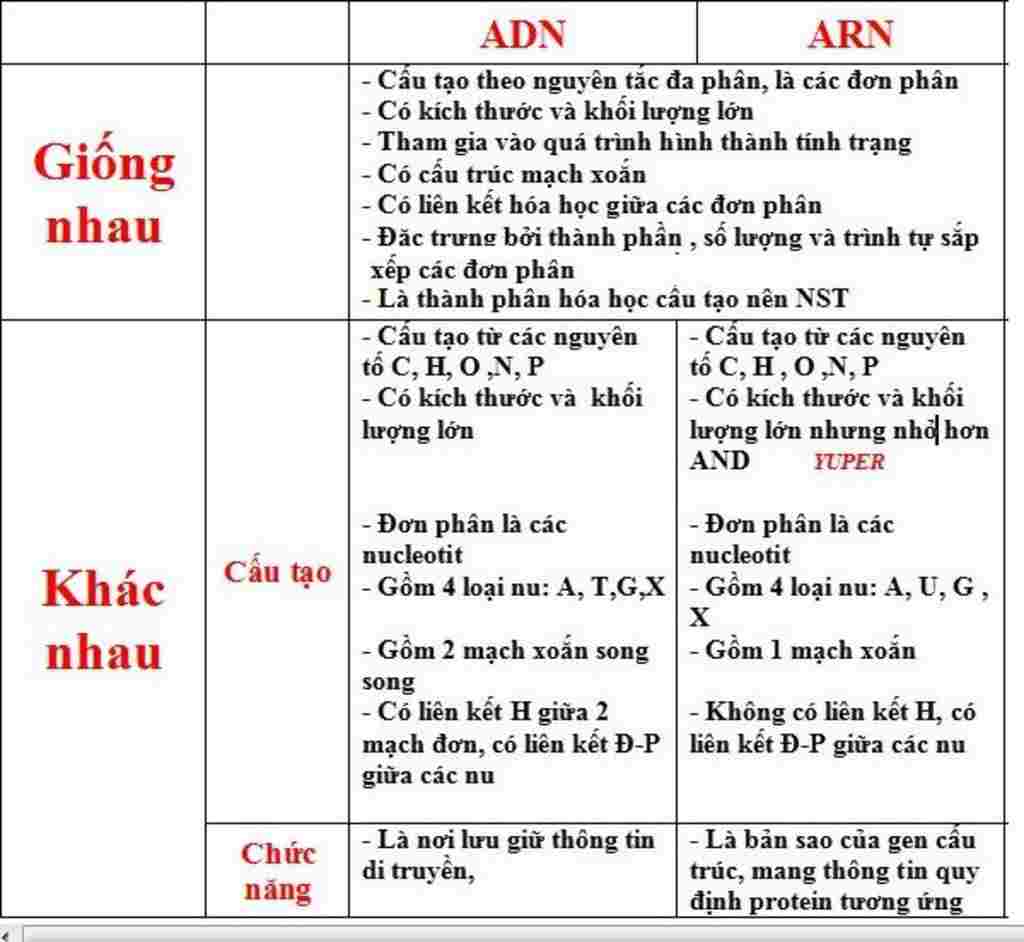 sinh-hoc-lop-9-neu-su-giong-nhau-va-khac-nhau-cua-adn-va-arn