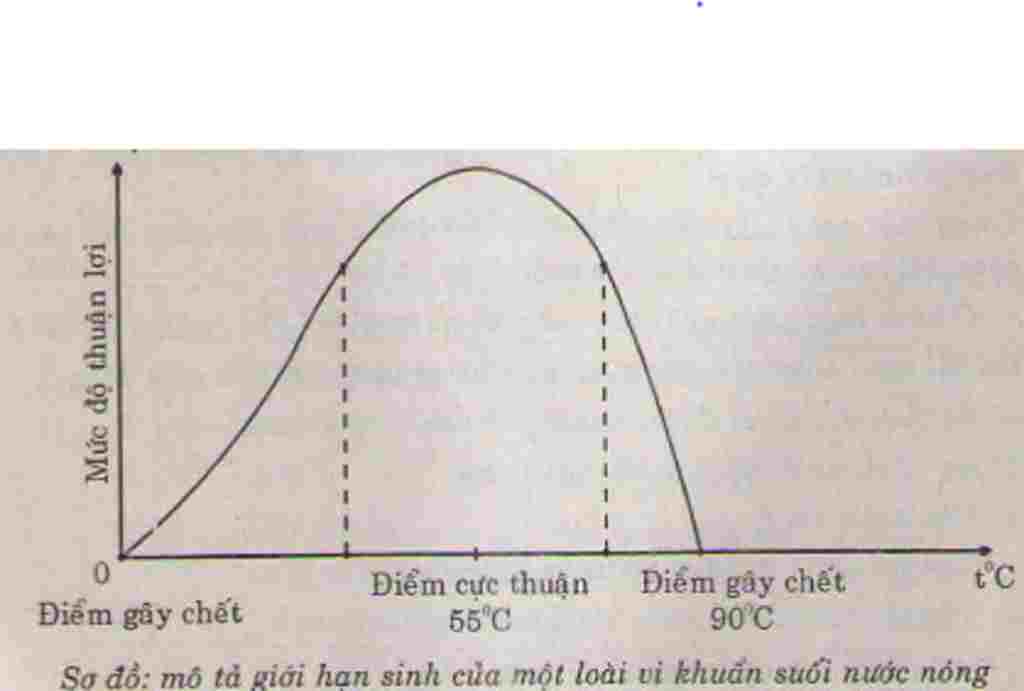 sinh-hoc-lop-9-ve-va-phan-tich-so-do-mo-ta-gioi-han-sinh-thai-cua-mot-loai-sinh-vat