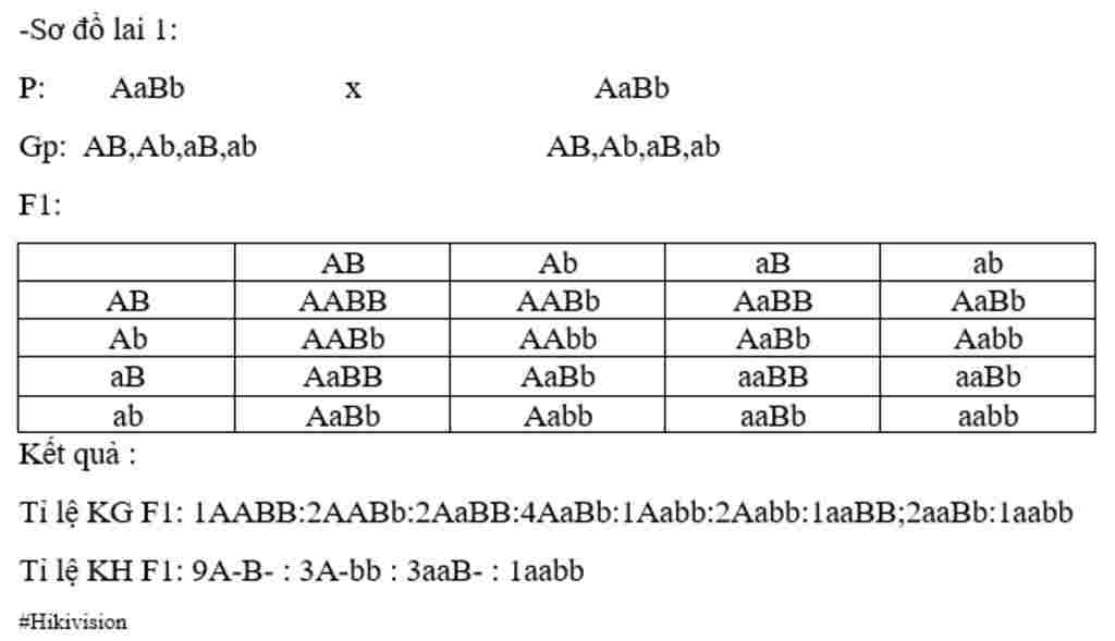 sinh-hoc-lop-9-viet-so-do-lai-aabb-aabb-aabb-aabb