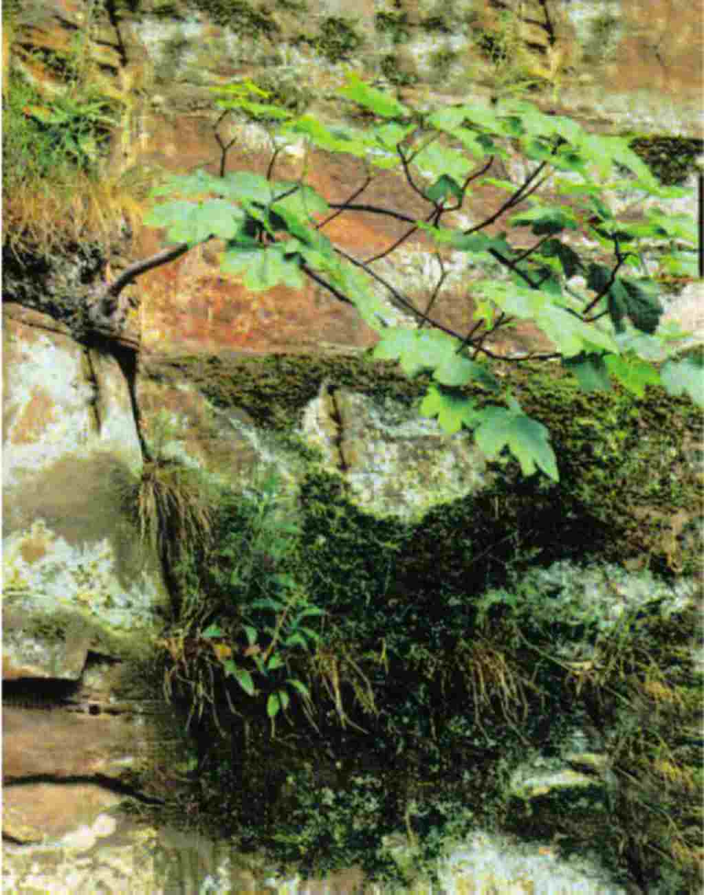 tong-hop-lop-10-phan-biet-4-qua-trinh-cua-ngoai-luc