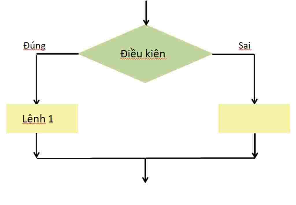 tong-hop-lop-6-cau-4-1-cau-truc-re-nhanh-co-may-dang-do-la-nhung-dang-nao-em-hay-ve-so-do-khoi-t