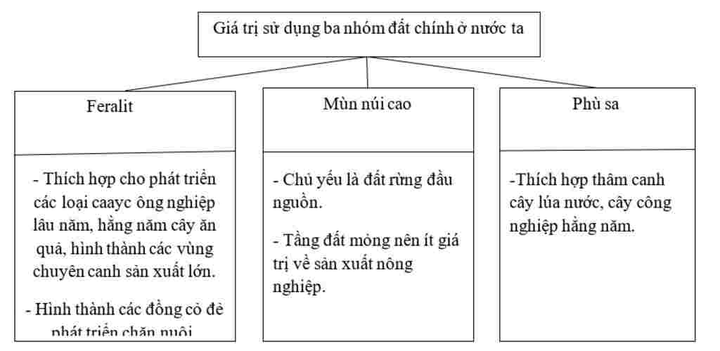 tong-hop-lop-8-ve-so-do-tu-duy-cac-nhom-dat-chinh